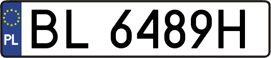 BL6489H