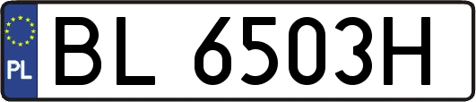 BL6503H