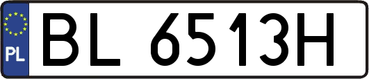 BL6513H