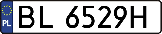 BL6529H