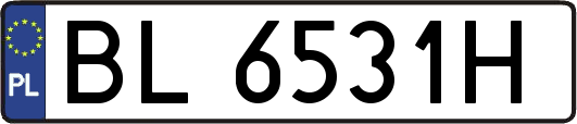 BL6531H