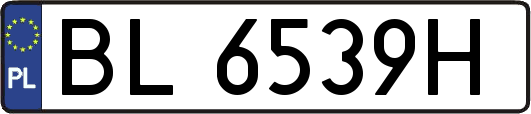 BL6539H