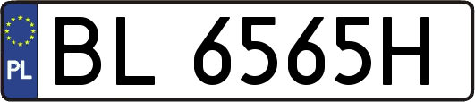 BL6565H