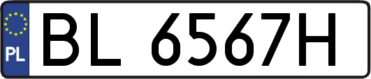BL6567H
