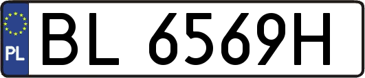 BL6569H