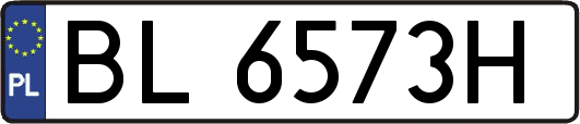BL6573H