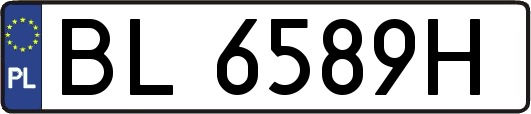 BL6589H