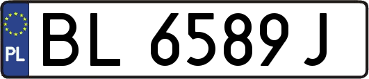 BL6589J