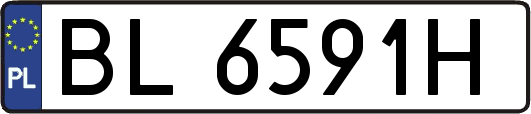 BL6591H