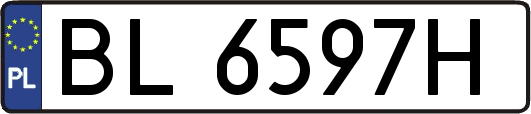 BL6597H