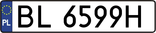 BL6599H