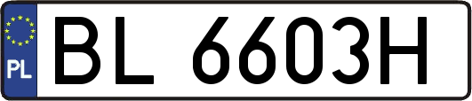 BL6603H