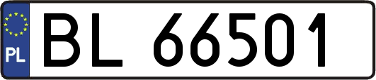 BL66501