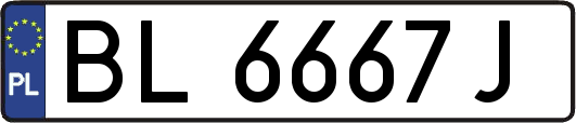 BL6667J