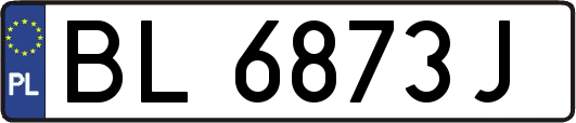BL6873J