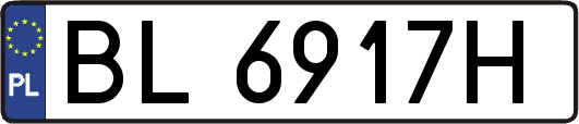 BL6917H