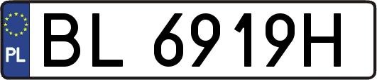 BL6919H