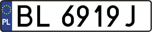 BL6919J