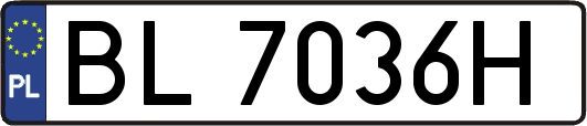 BL7036H