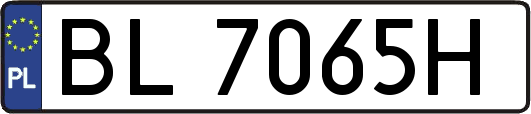 BL7065H