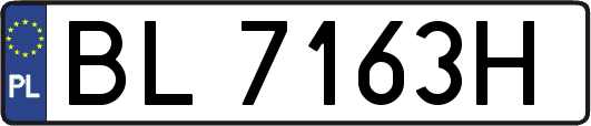 BL7163H