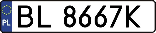 BL8667K