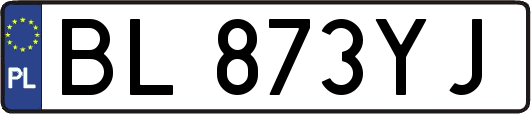BL873YJ