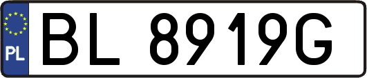 BL8919G