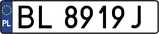 BL8919J