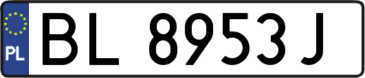 BL8953J