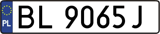 BL9065J