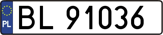 BL91036
