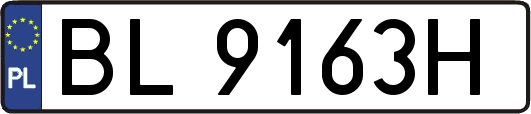 BL9163H