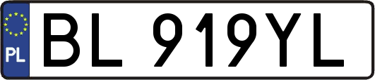 BL919YL