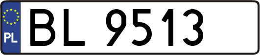 BL9513