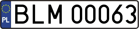 BLM00063