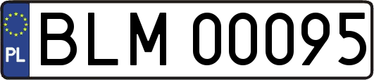 BLM00095