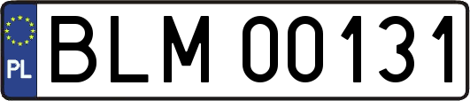 BLM00131