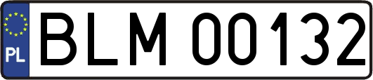 BLM00132