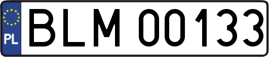 BLM00133