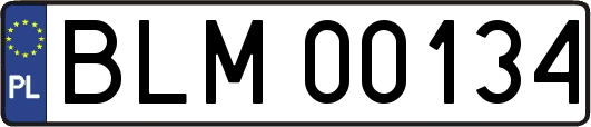 BLM00134
