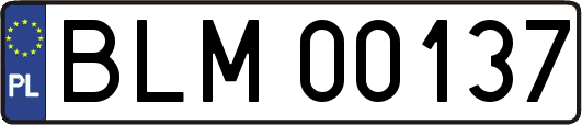 BLM00137