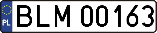 BLM00163