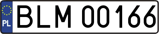BLM00166
