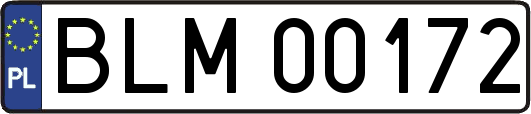BLM00172