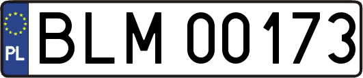 BLM00173