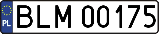 BLM00175
