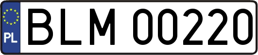 BLM00220