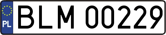 BLM00229