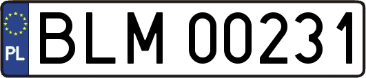 BLM00231